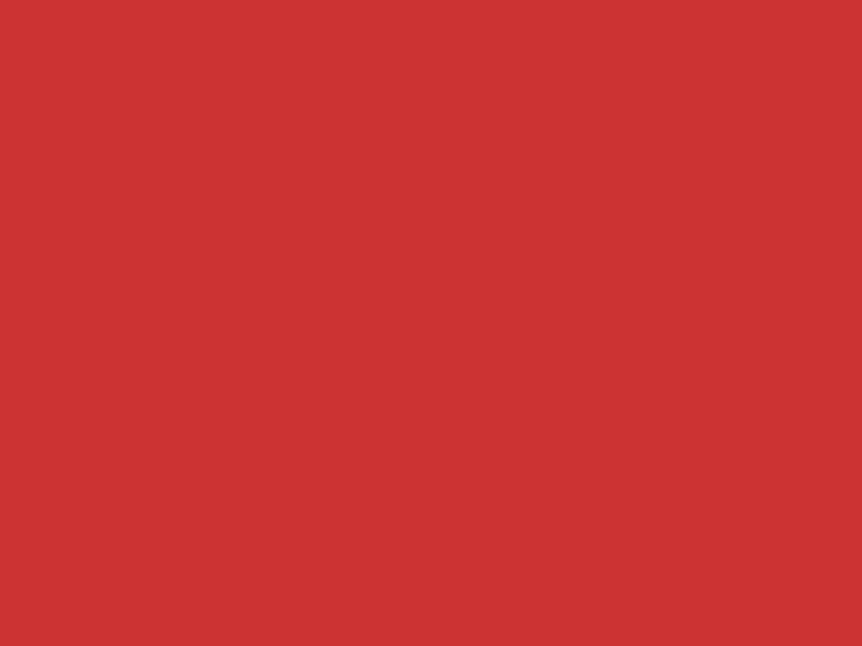 elefantengruppe-rot